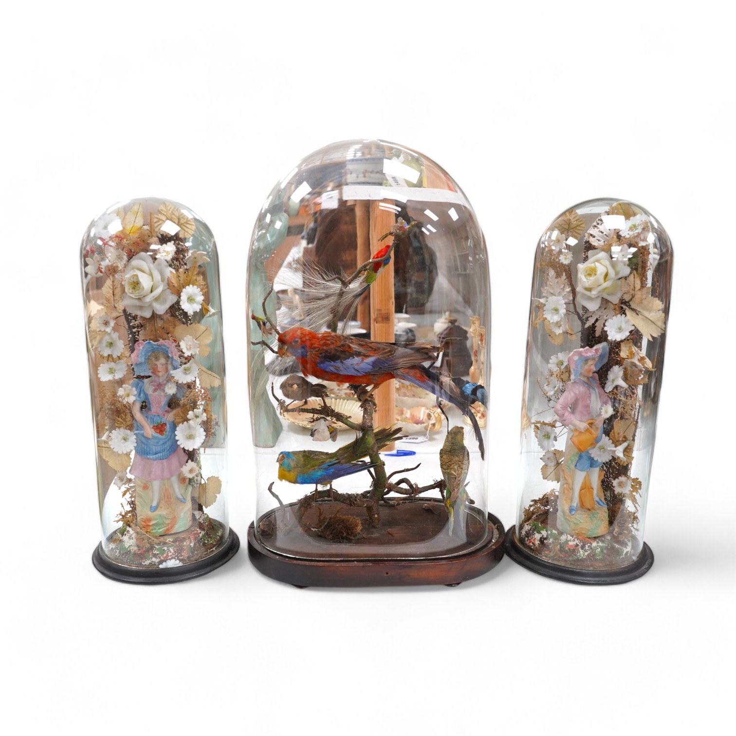 A taxidermy display of parrots, under a glass dome and a pair of cased bisque porcelain figures, largest 53cm high. Condition - fair, largest dome not original